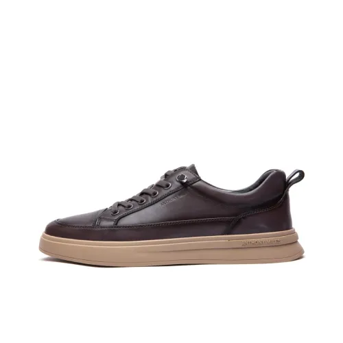 Anthony Miles Кроссовки для скейтбординга Low Top Серые Мужские