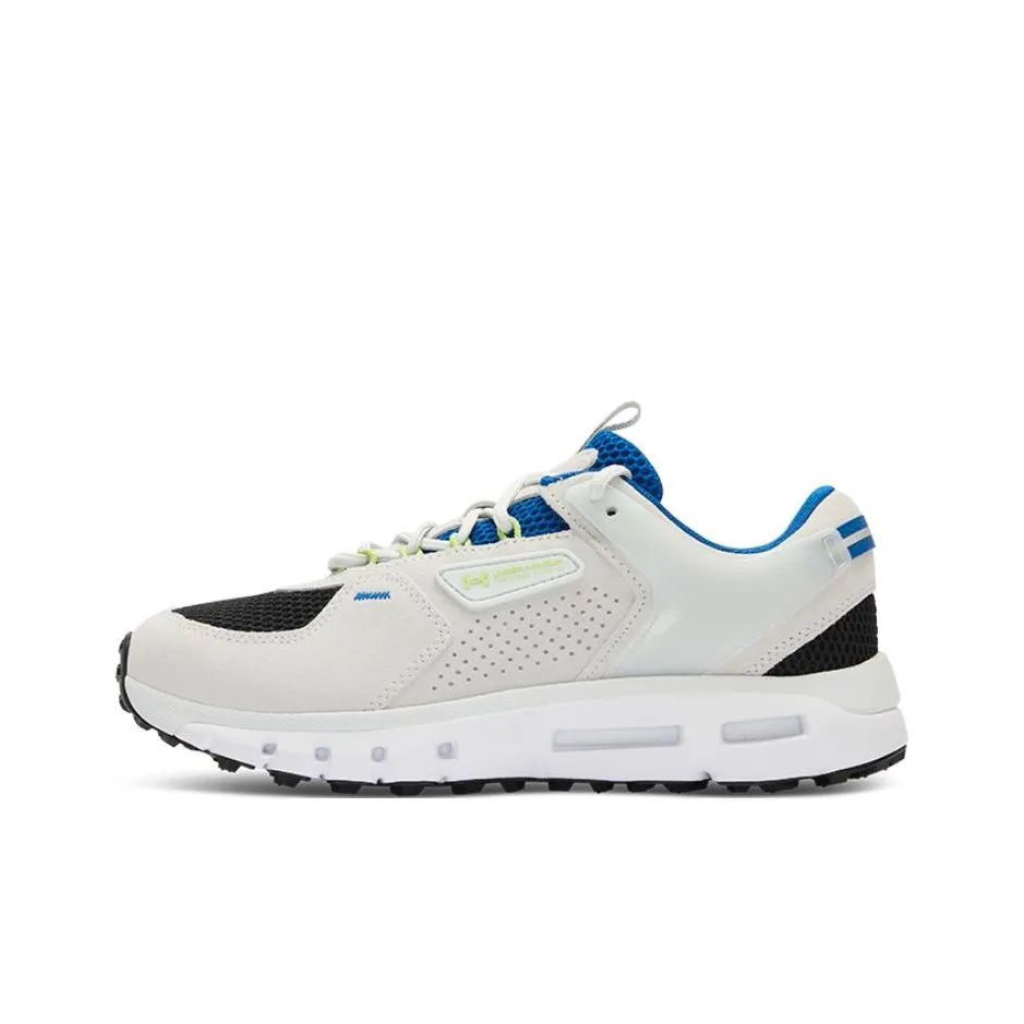 Under Armour SUMMIT Low Беговые кроссовки Мужские Серые