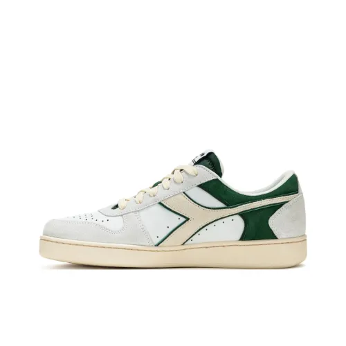Diadora Кроссовки для скейтбординга Low Top Бело-серые Мужские