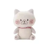 체스트넛 브라운 고양이