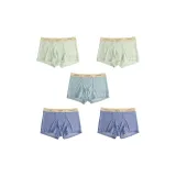 민트 그린+민트 그린+스카이 블루+오션 블루+오션 블루