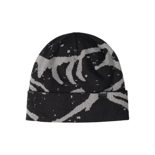 Arcteryx Шапки-бини Унисекс