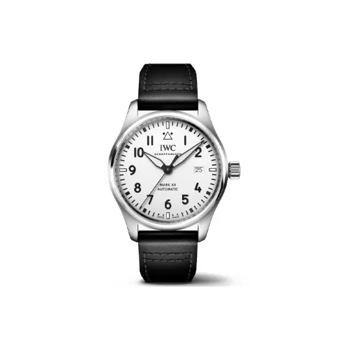 IWC Автоматический Механический Movement Мужские Часы Pilot Collection 40 мм Белые