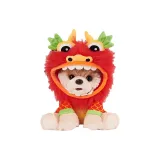 차이니즈 드래곤 (선물 박스)