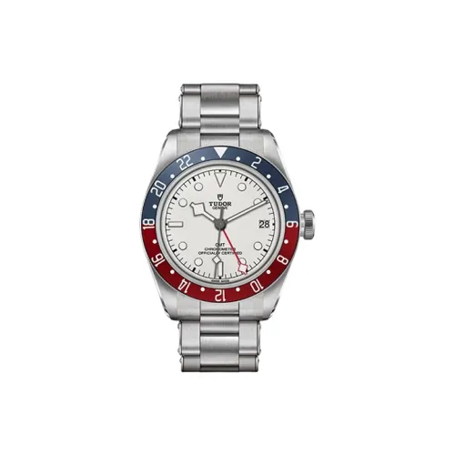 TUDOR Автоматический Механический Movement Мужские Часы из коллекции BLACK BAY, 41 мм, Белый