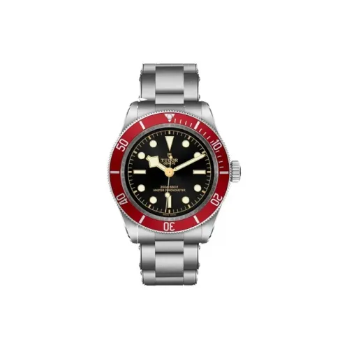 TUDOR Автоматический Механический Movement Мужские Часы из коллекции BLACK BAY, 41 мм, Черный