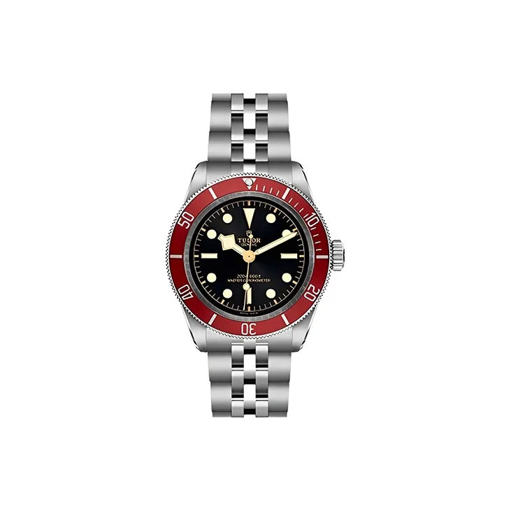 TUDOR Men BLACK BAY Collection Watch