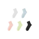 5팩 세트 (화이트+블루+핑크+버던트 그린+블랙)