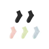 5팩 세트 (블랙+블랙+핑크+버던트 그린+블루)