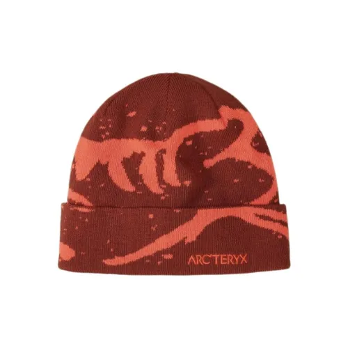 Arcteryx Шапки-бини Унисекс