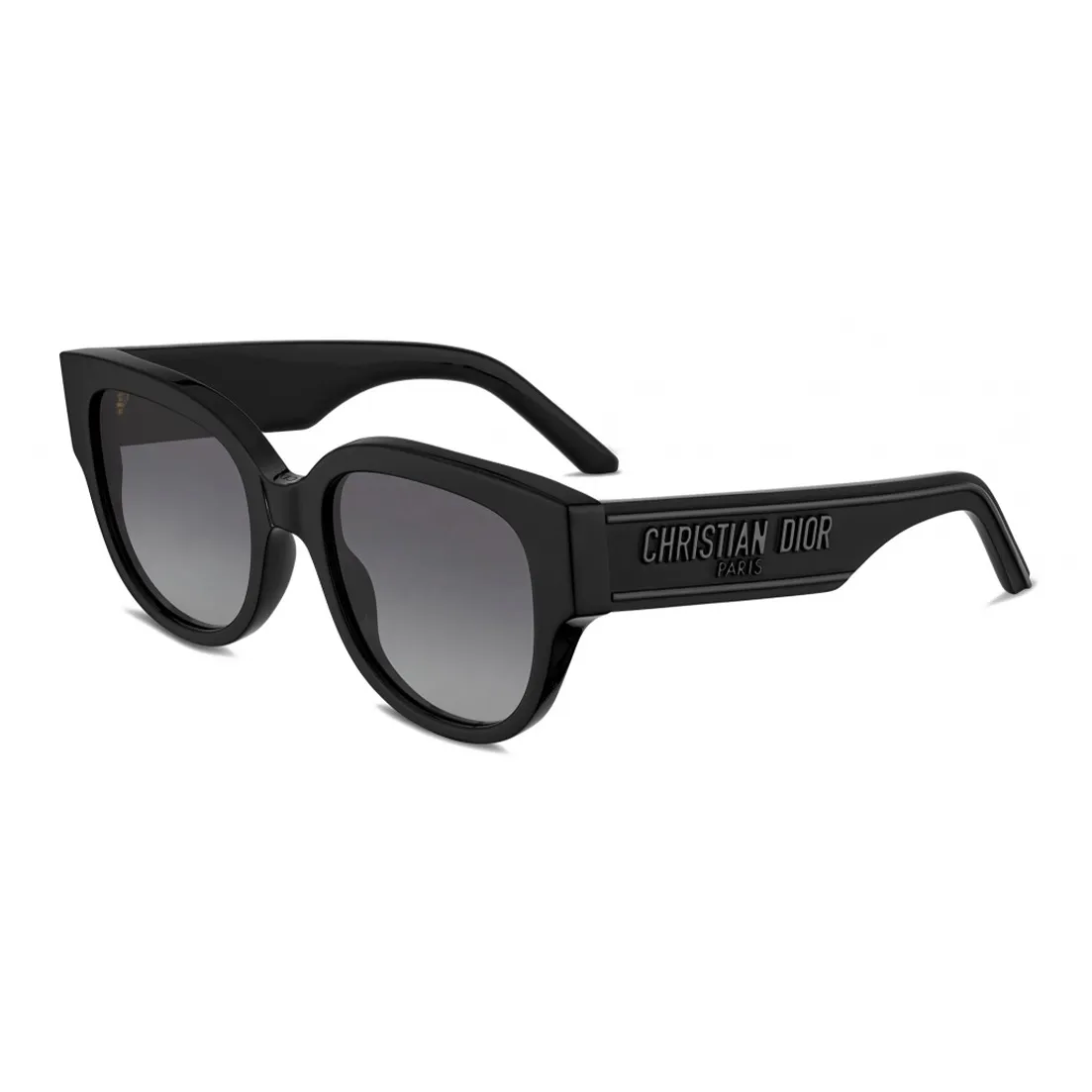 DIOR Eyewear WilDIOR Bu Round Frame Sunglasses