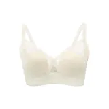오이스터 화이트