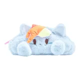 레인보우 대시