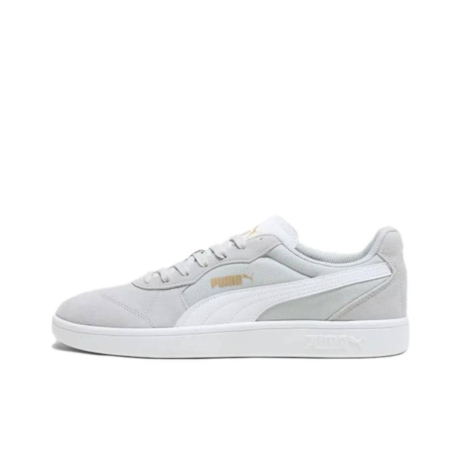PUMA Astro Low Top Skateboard Shoes Men's Gray