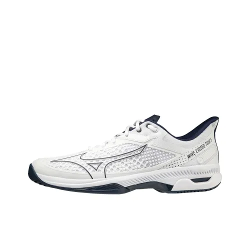 Кроссовки для тенниса Mizuno Wave Exceed Tour 5, низкий верх, белые, мужские