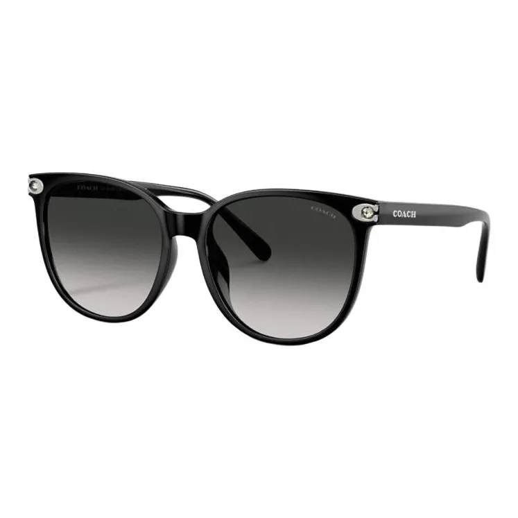 COACH Круглые Солнцезащитные очки Женские Черные
