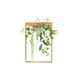 스몰 리프 걸기 바인 벽걸이