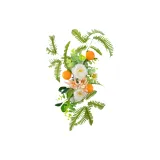 커튼 넥타이-후면 꽃무늬 배열 - 오렌지 페른 (싱글)