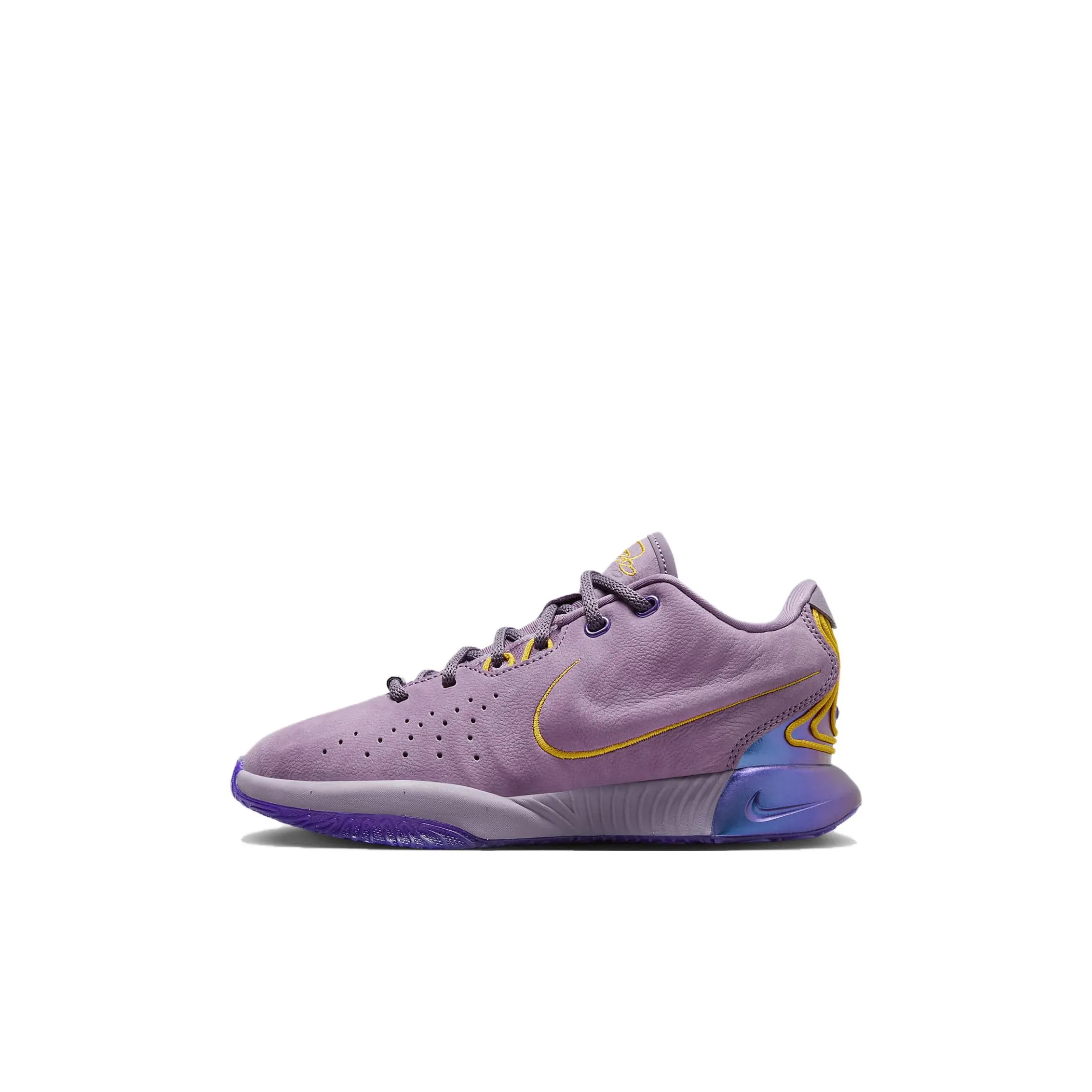 Nike LeBron 21 Purple Rain GS