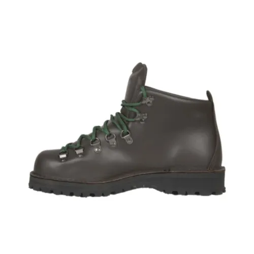 Danner Mountain Light Outdoor Коричневый Мужской