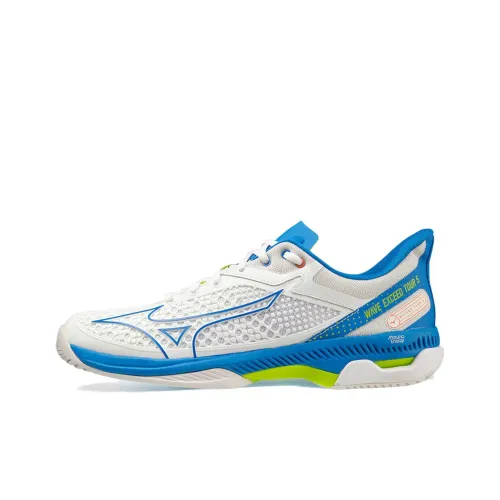 Кроссовки для тенниса Mizuno Wave Exceed Tour 5, низкий верх, белые, мужские