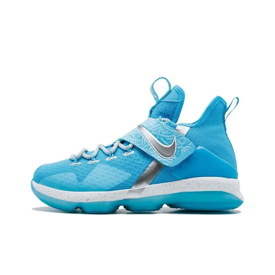 Nike LeBron 14 Ric Flair GS