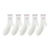5 핑크
