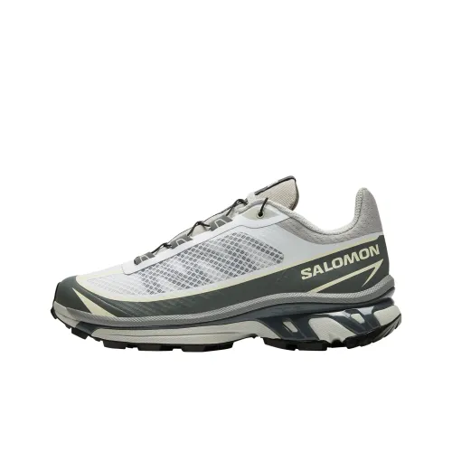SALOMON XT 6 FT Повседневная обувь Низкий верх Roland Серый / Белый/Серый Унисекс