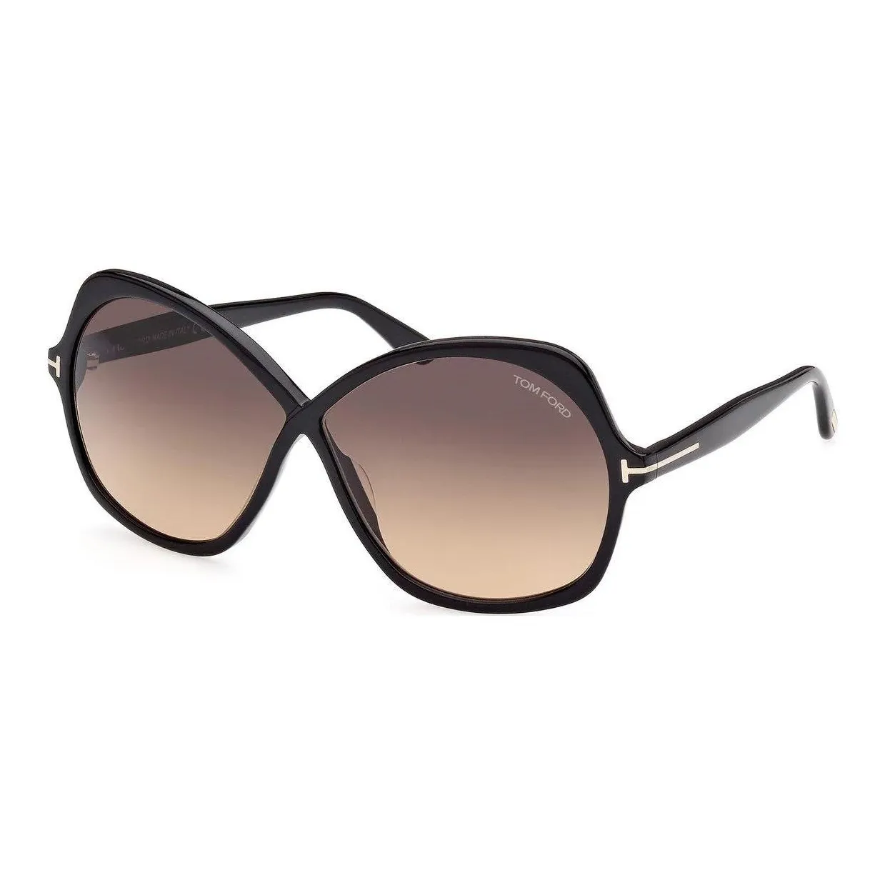TOM FORD Oversized Frame Sunglasses