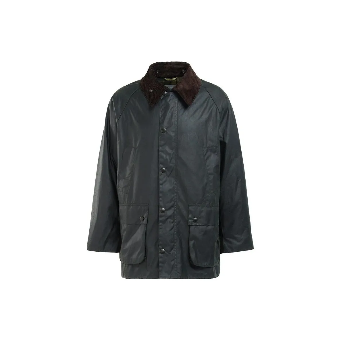 BARBOUR Jackets Coats Men's Sage Green