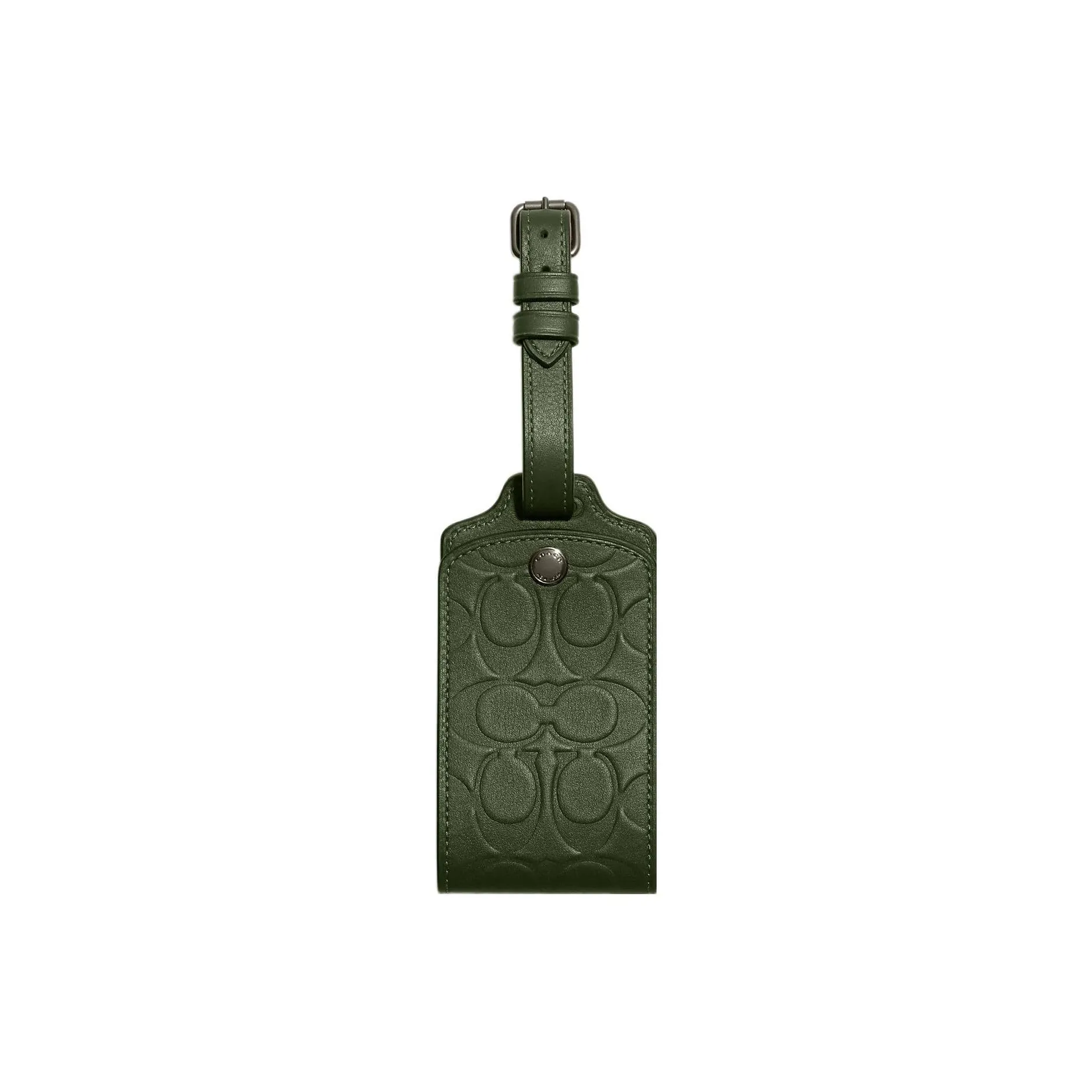 COACH Luggage Calfskin Bag Accessory Women's Dark Green