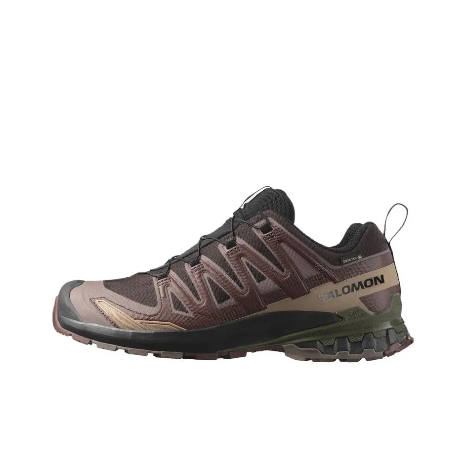 SALOMON Xa Pro 3D V9 GORE TEX 'Rum Raisin'