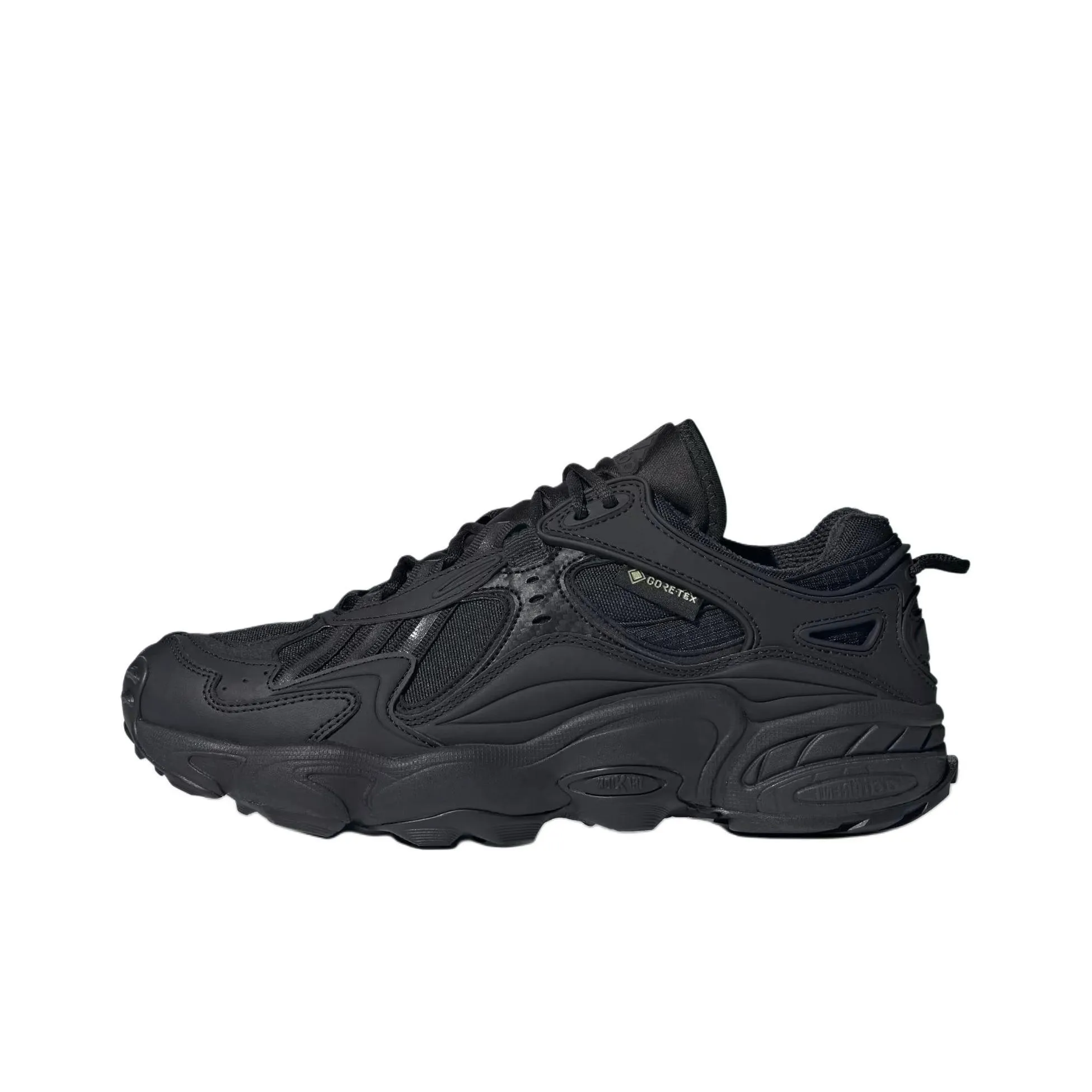Adidas Cadiant Fyw Gore Tex Core Black Cloud White