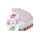가넷 24ml x 12 태블릿/선물 포장