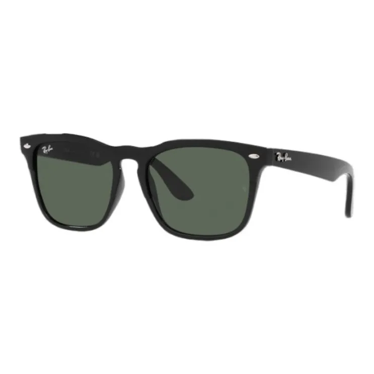 Ray Ban Steve Square Frame Sunglasses