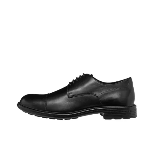 GEOX Мужские повседневные туфли Low Top Черные Мужские
