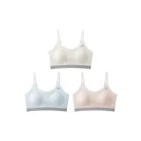 [3팩 세트] 샴페인 + 블루 + 쉬림프 컬러