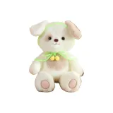 레인코트 강아지