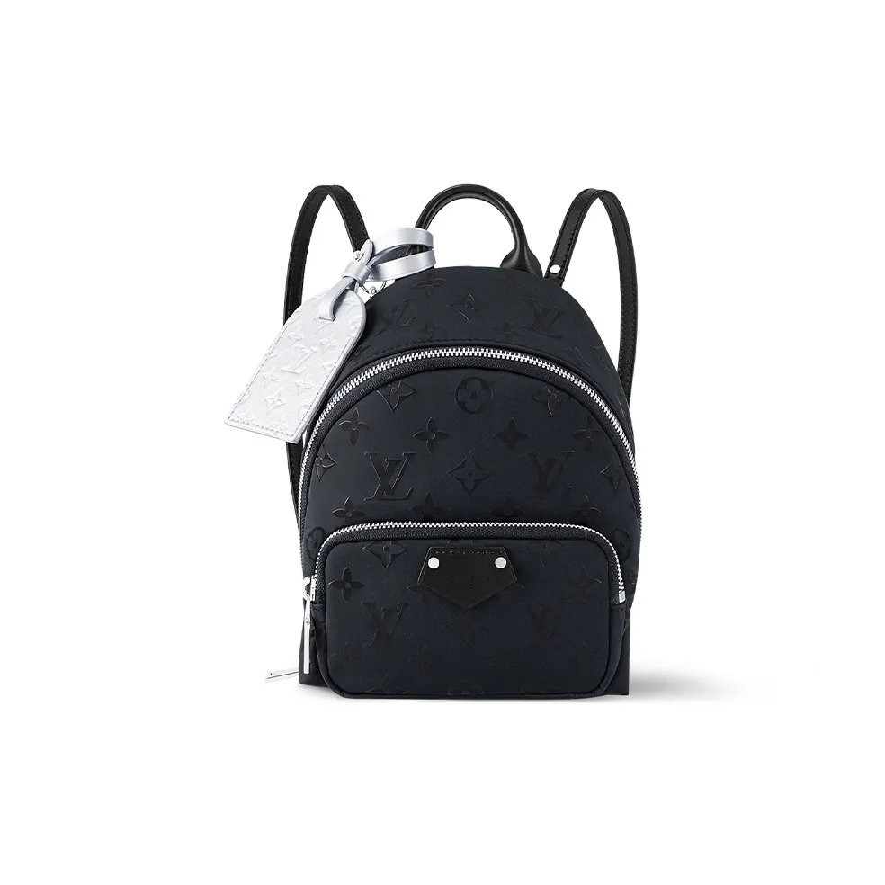 LOUIS VUITTON Palm Spring Mini Polar Night