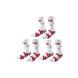 3팩 세트 (불바사우루스 레드)