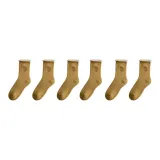 6팩 (진저 옐로우)
