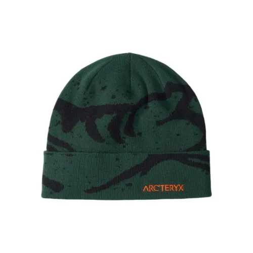 Arcteryx Шапки-бини Унисекс