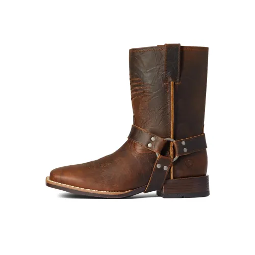 ARIAT Ботильоны Коричневый Мужские