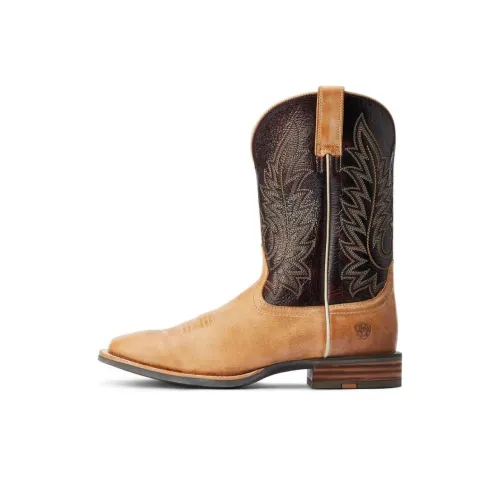 ARIAT Ботильоны Коричневый Мужские