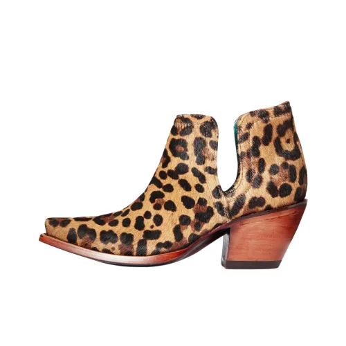 ARIAT Ботильоны Коричневый Женские