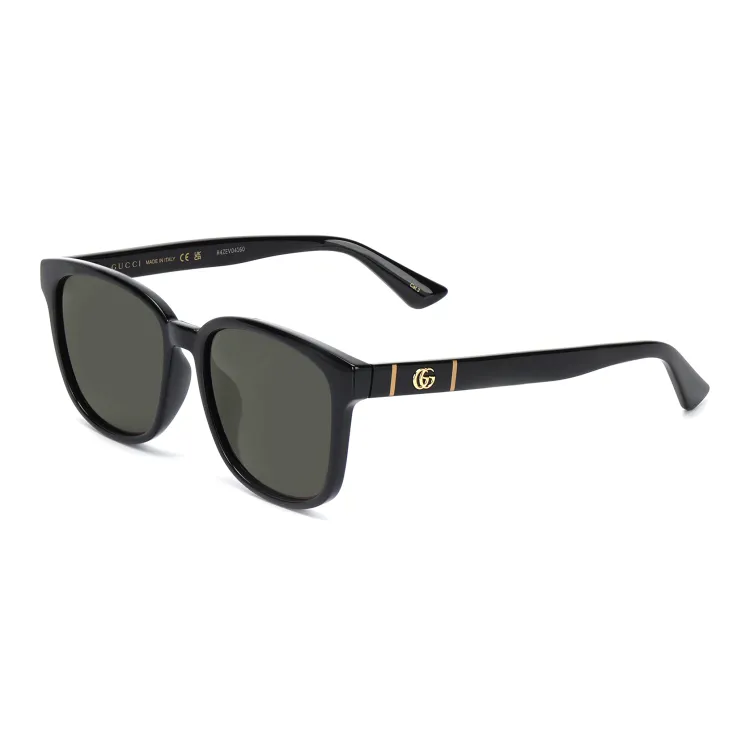 Paolo gucci sunglasses online