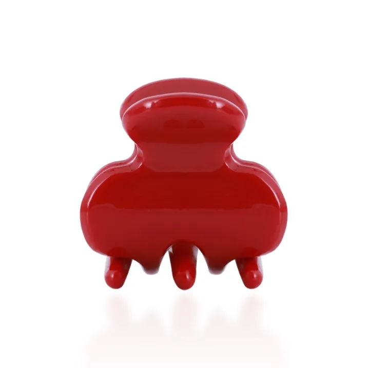 ZANC Acrylic Hair Clips Women's