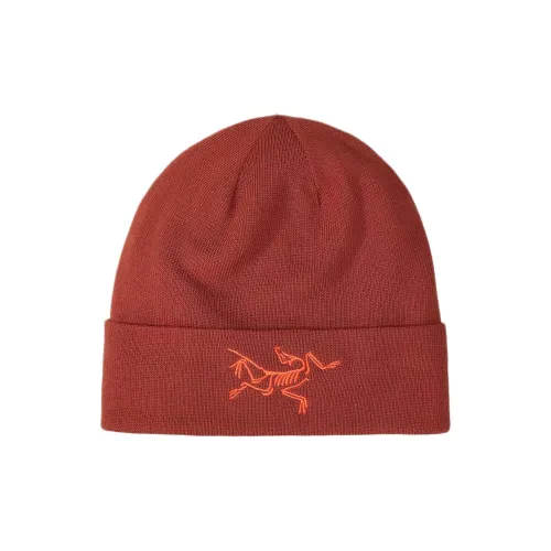 Arcteryx Шапки-бини Унисекс
