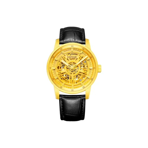 HIPINE Механический Movement Мужские Explore Home Series Часы 42,5 мм Золотой