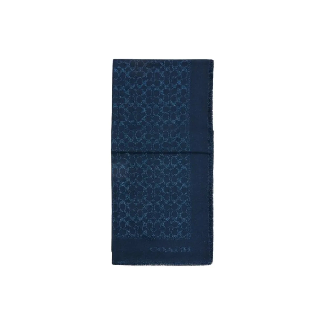 COACH Овечья шерсть вискоза полиэстер металлическое волокно с покрытием унисекс синий